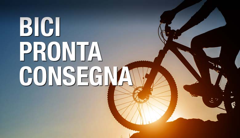 Ezio Bici Biciclette elettriche MTB City bike BMX