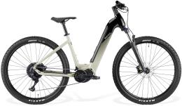 BESV TRX 1.3 LTD LS 29 SHIMANO CUES 12V GRIGIO ROCCIA