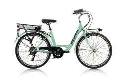 COPPI RIVIERA OLANDA 26 TZ500 6V VERDE