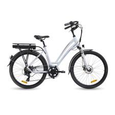 ITALWIN PRESTIGE 28 UNISEX 7V 12,8AH GRIGIO ARDESIA