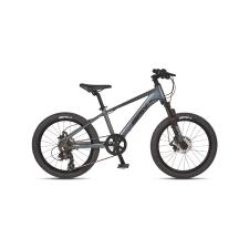 MTB BRN YOUNG 20" SHIMANO TOURNEY 7V GRIGIA