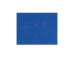 NASTRO MANUBRIO CINELLI CORK BLU