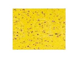 NASTRO MANUBRIO CINELLI CORK GIALLO