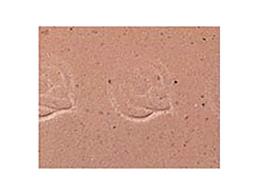 NASTRO MANUBRIO CINELLI CORK NATURALE