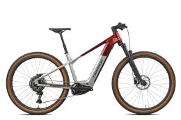 TORPADO HYPER R 29 CUES 10V BORDEAUX SILVER LUCIDO