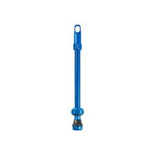 VALVOLA BRN BLU 100mm TUBELESS Pz 2