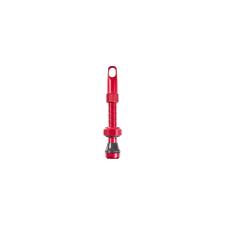 VALVOLA BRN ROSSA 60mm TUBELESS PZ 2