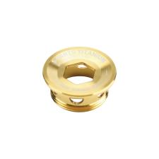 VITE S-PARTS IN TITANIO ORO PER GUARNITURA STANDARD